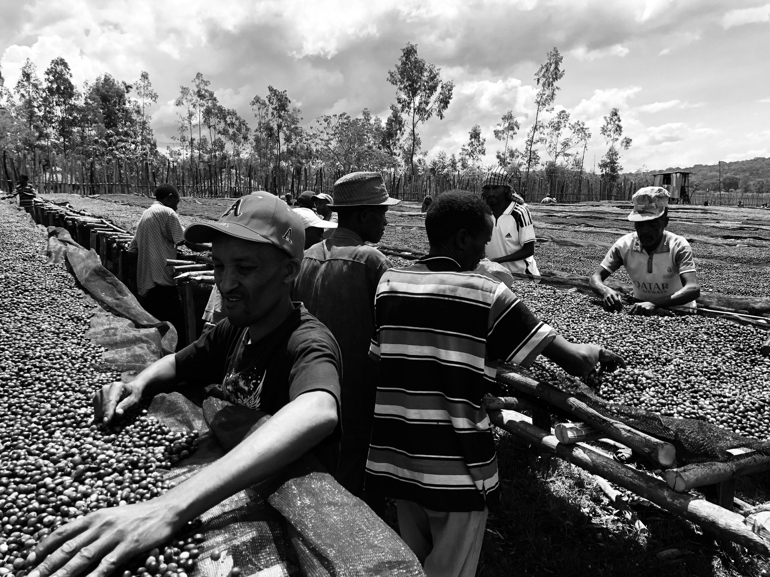 ETHICALLY SOURCED COFFEE - WHAT IS IT?
